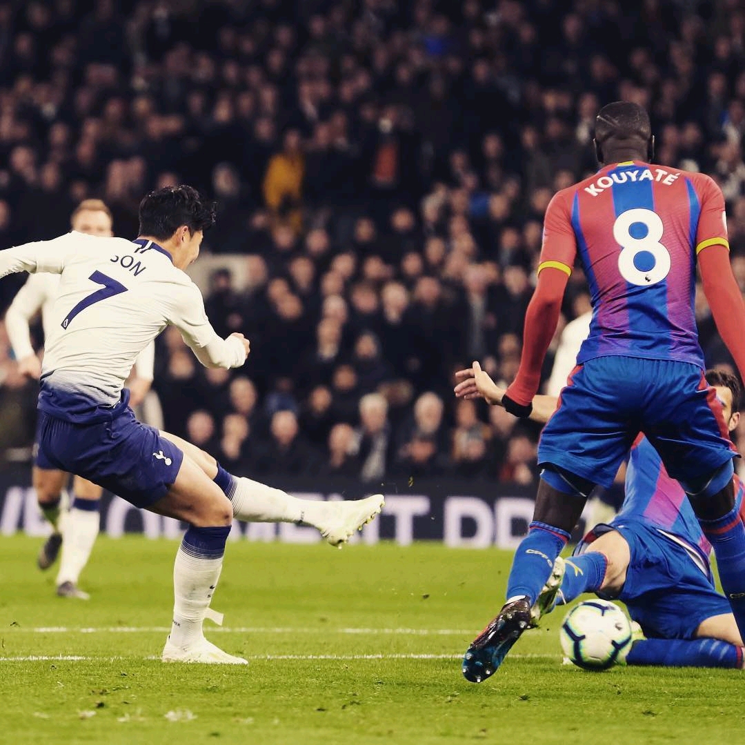 近日因其充 近日因其充